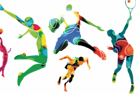 Развитие спорта в Королевстве Северный Бархант