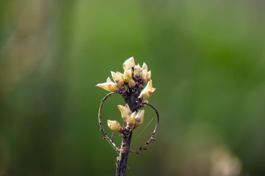 © Дмитрий Куршаков